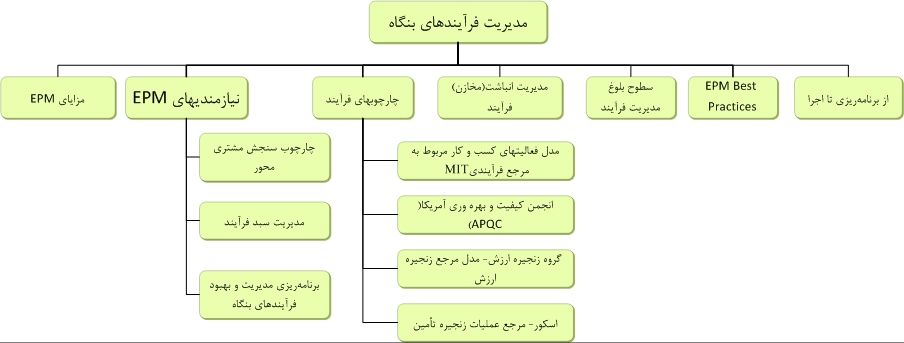 Enterprise Process Management